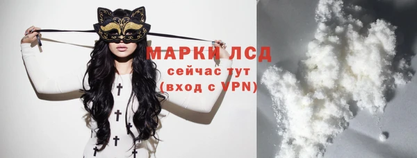 ПСИЛОЦИБИНОВЫЕ ГРИБЫ Осинники