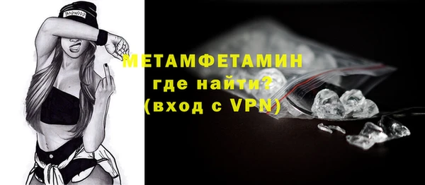 ПСИЛОЦИБИНОВЫЕ ГРИБЫ Осинники