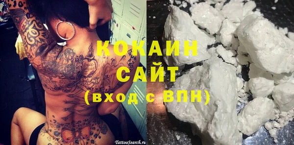 ПСИЛОЦИБИНОВЫЕ ГРИБЫ Осинники