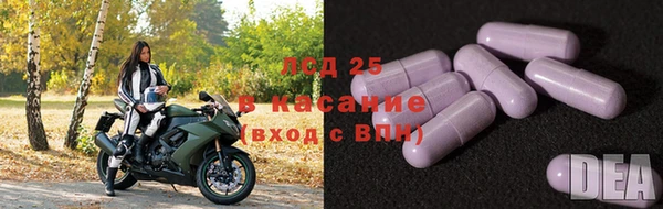 ПСИЛОЦИБИНОВЫЕ ГРИБЫ Осинники