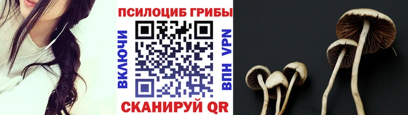 Псилоцибиновые грибы Cubensis omg ССЫЛКА Дмитровск